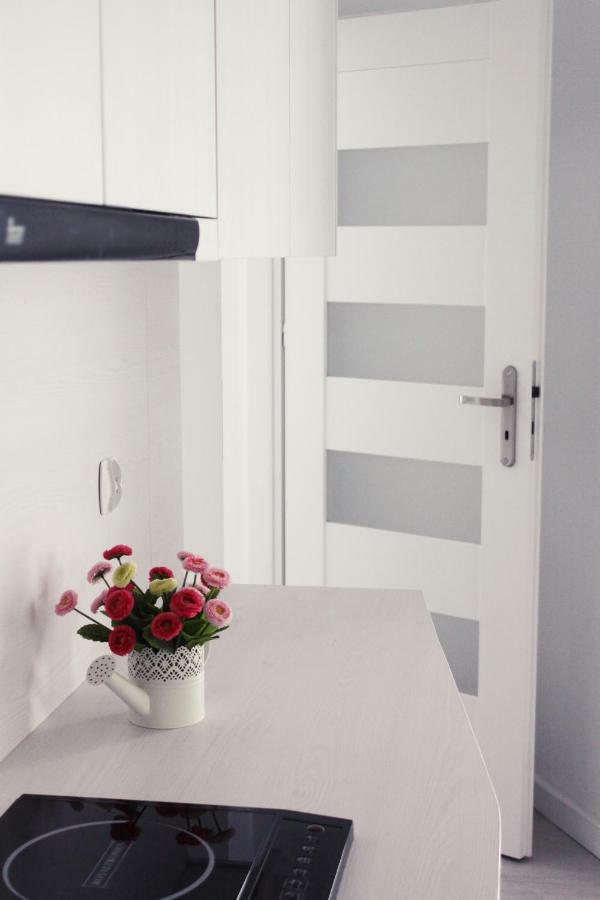 Nowe Apartamenty 帕克 外观 照片
